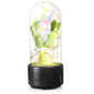 2-in-1 LED Bouquet & Bluetooth Speaker: Perfect Mother's Day Gift